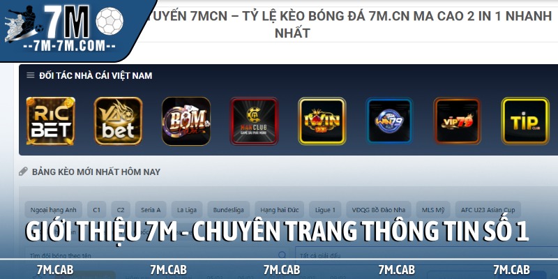 Giới thiệu 7M - chuyên trang thông tin số 1