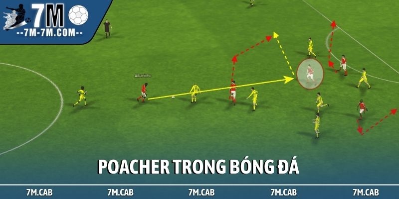 Poacher trong bóng đá